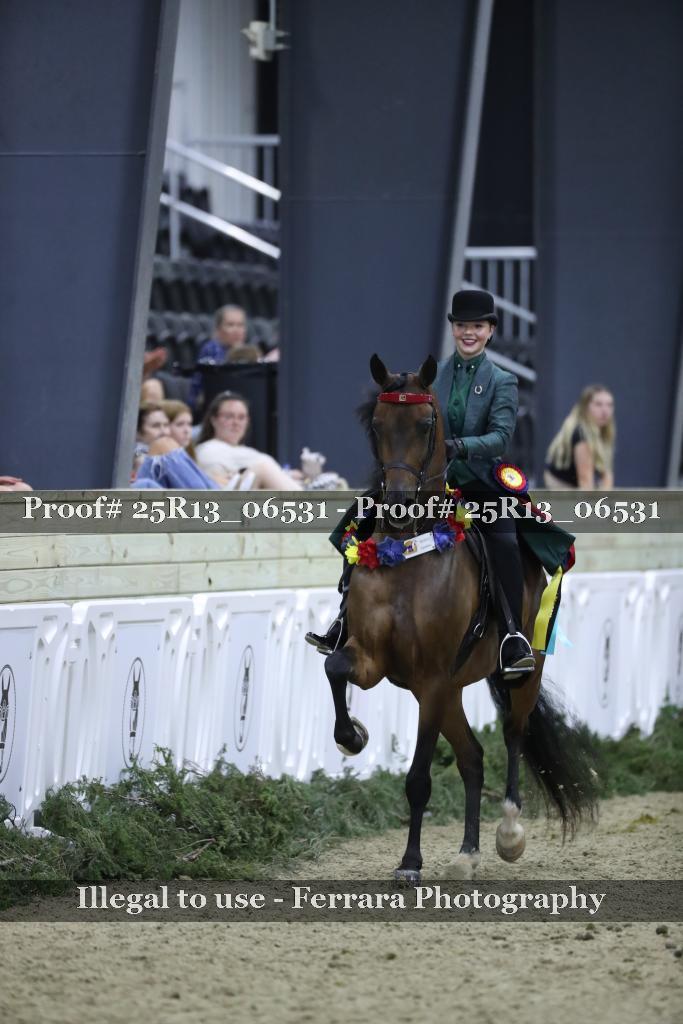 Proof Number 25R13_06531