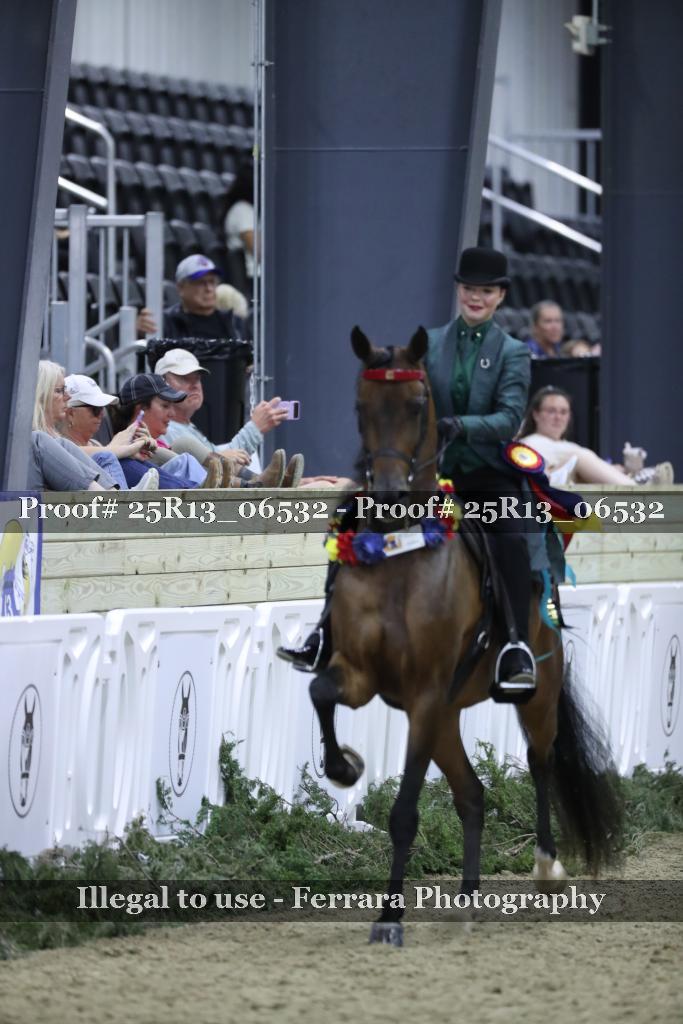 Proof Number 25R13_06532