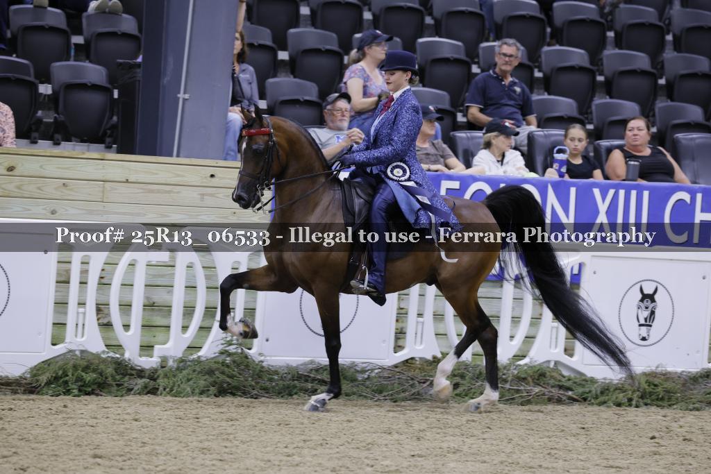 Proof Number 25R13_06533