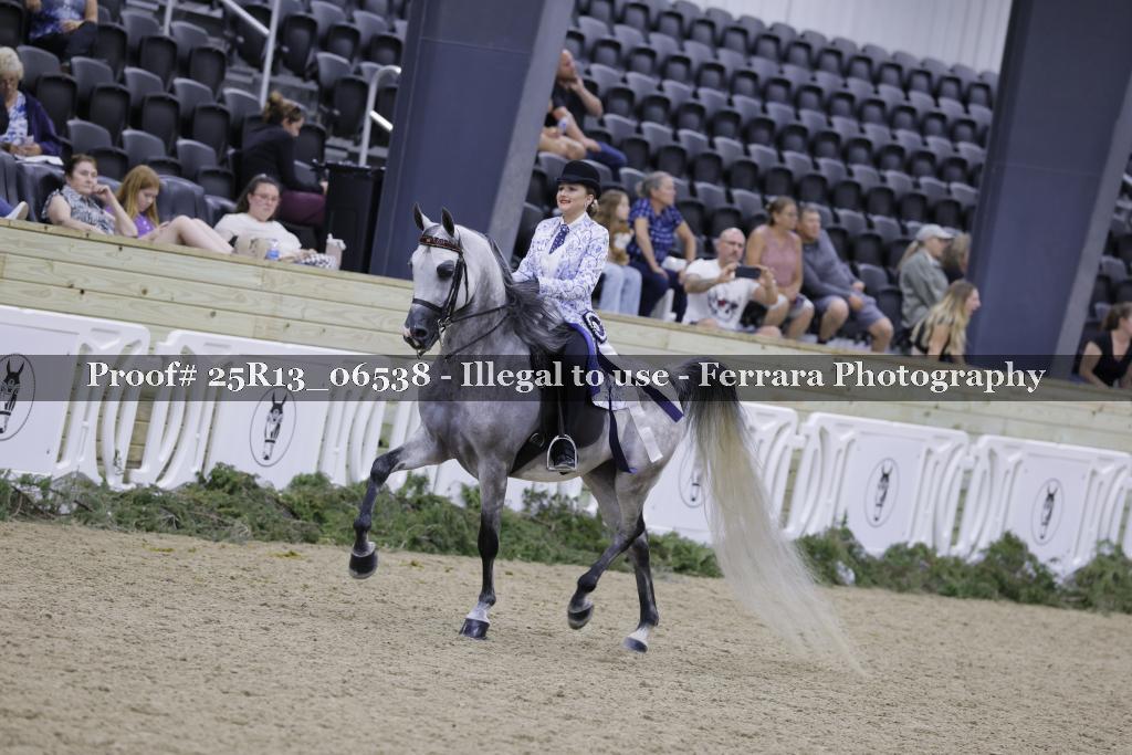 Proof Number 25R13_06538