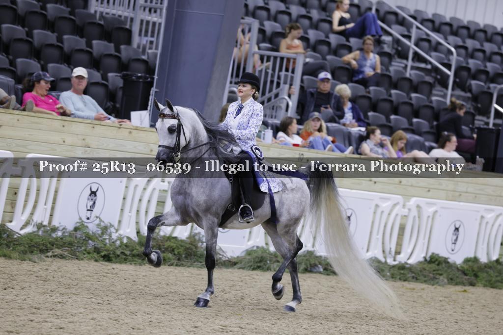Proof Number 25R13_06539