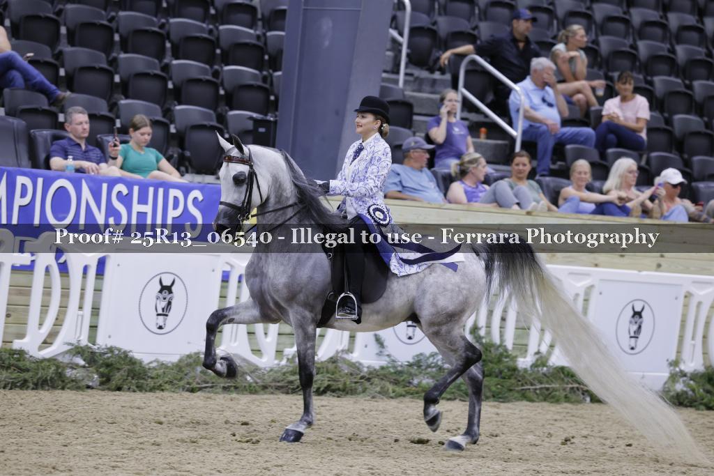 Proof Number 25R13_06540