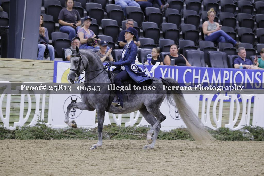 Proof Number 25R13_06545