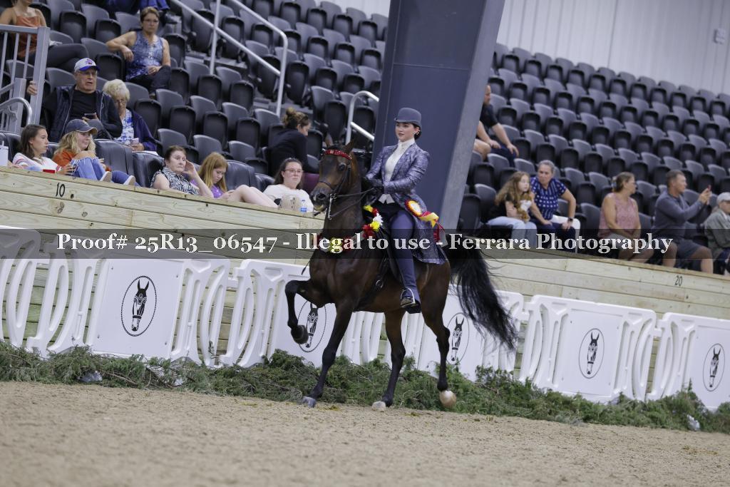 Proof Number 25R13_06547