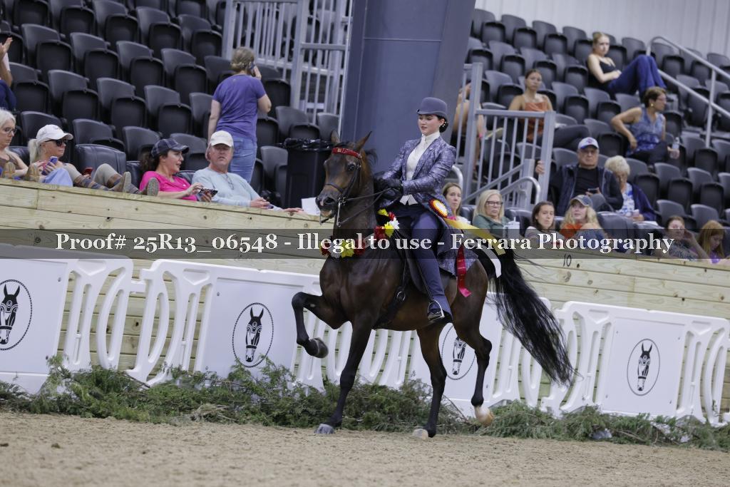 Proof Number 25R13_06548
