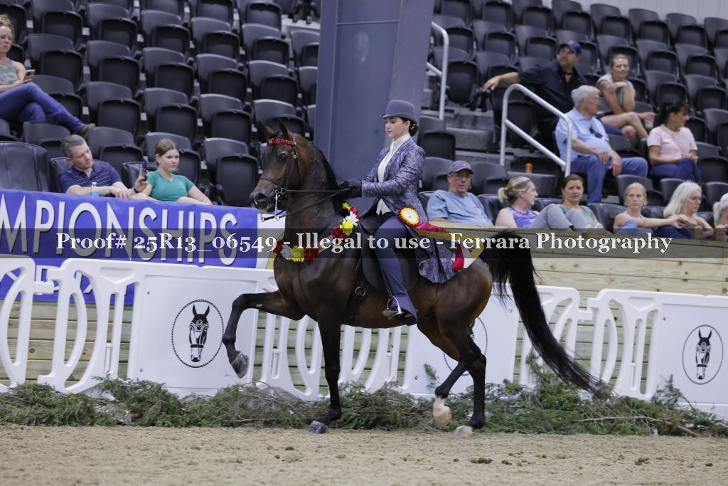 Proof Number 25R13_06549