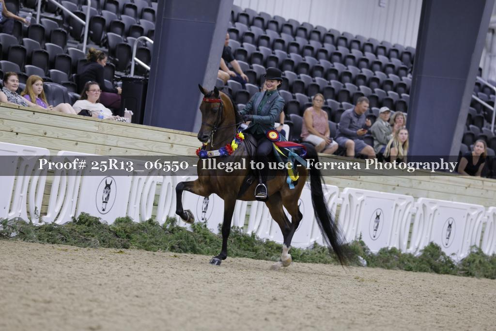 Proof Number 25R13_06550