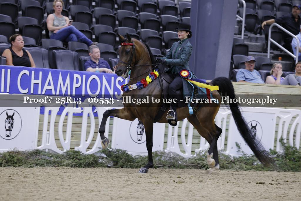 Proof Number 25R13_06553