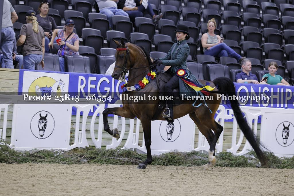 Proof Number 25R13_06554