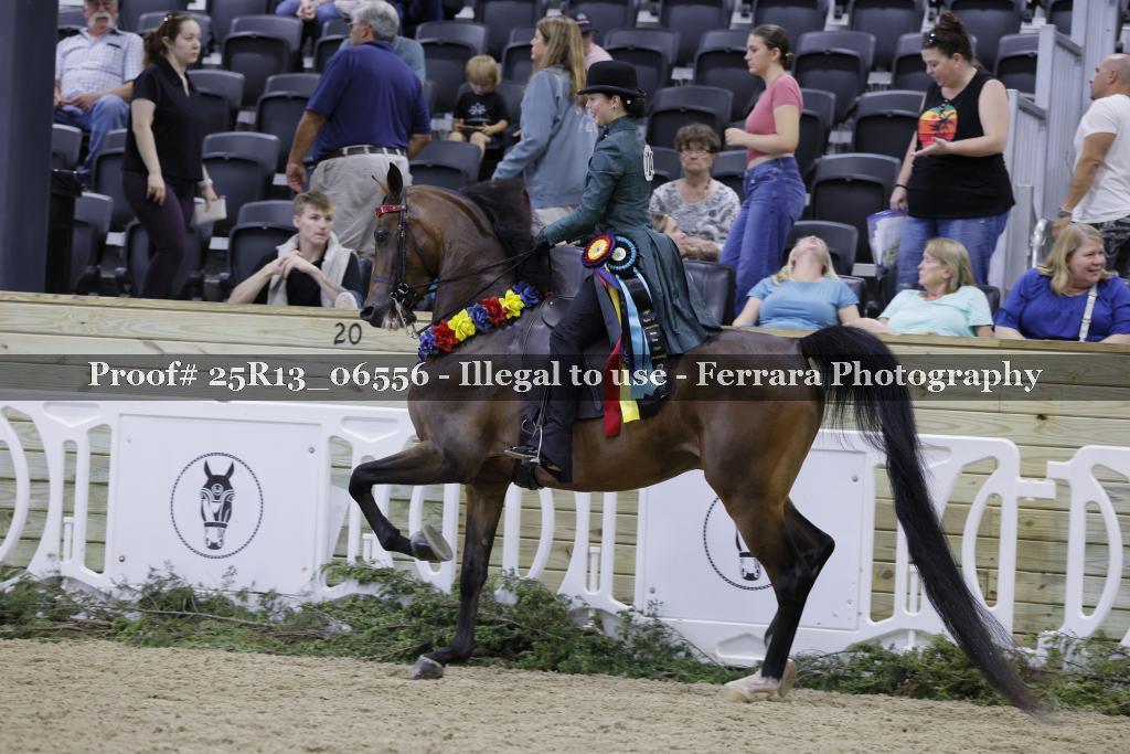 Proof Number 25R13_06556