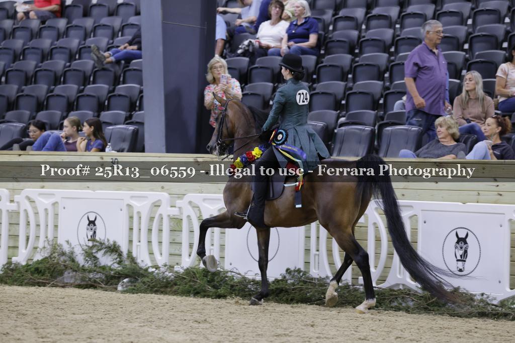 Proof Number 25R13_06559