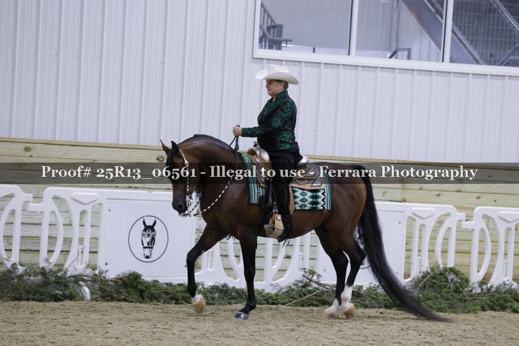 Proof Number 25R13_06561