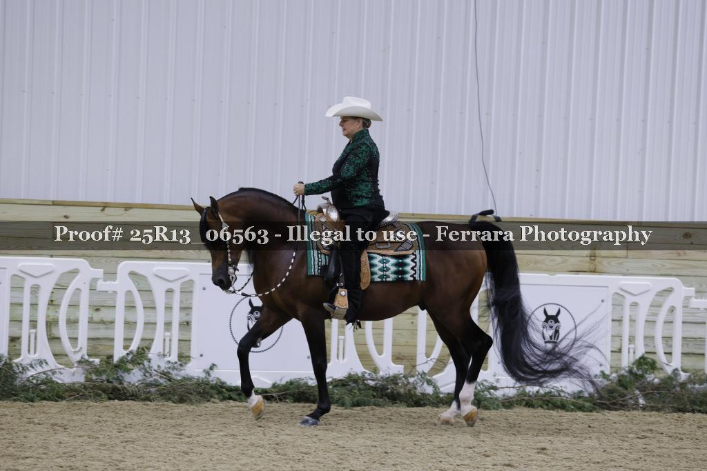 Proof Number 25R13_06563