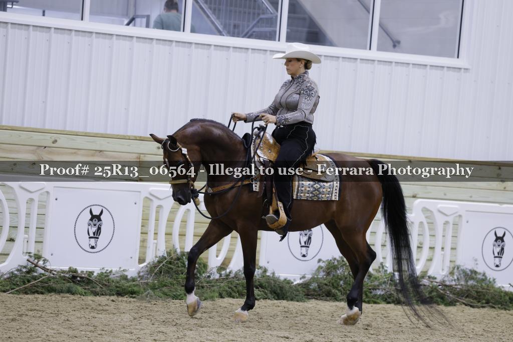 Proof Number 25R13_06564