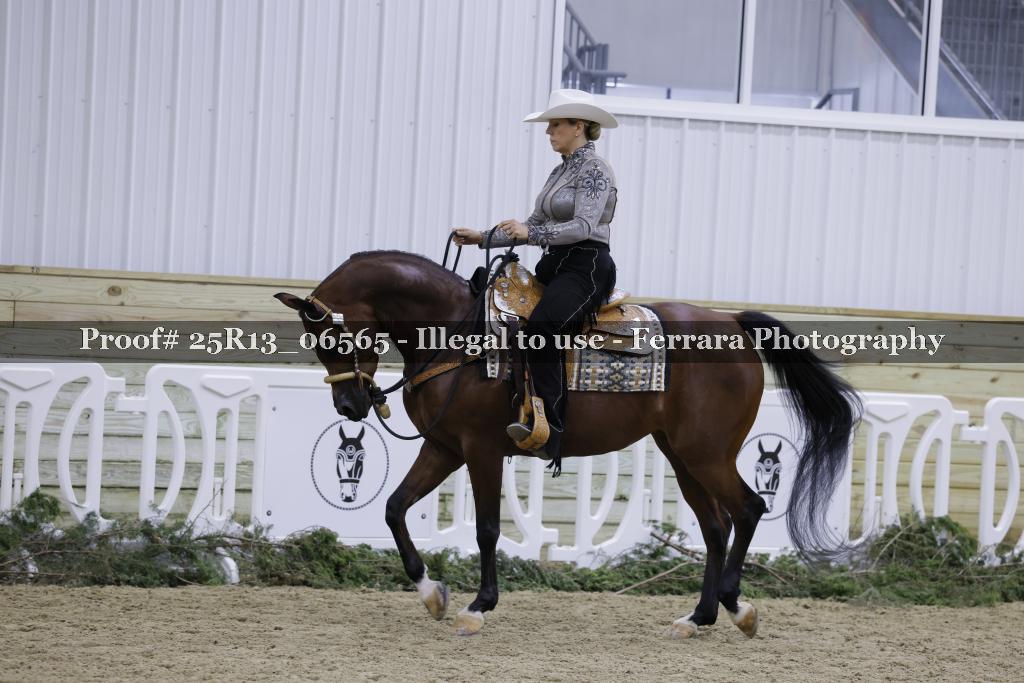 Proof Number 25R13_06565