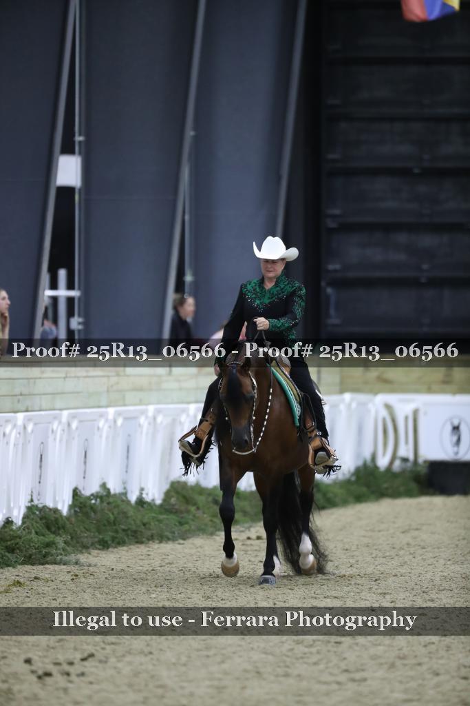 Proof Number 25R13_06566