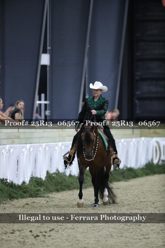 Proof Number 25R13_06567