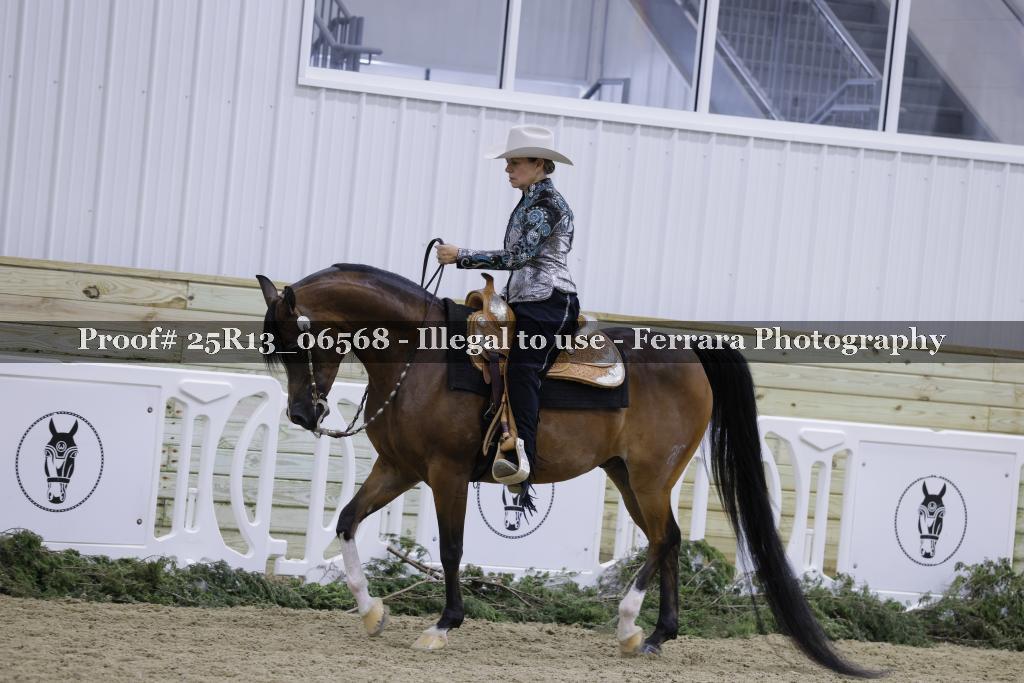 Proof Number 25R13_06568