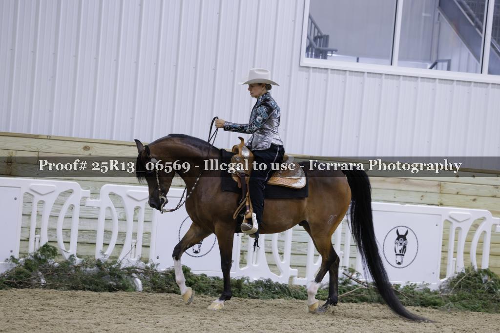 Proof Number 25R13_06569