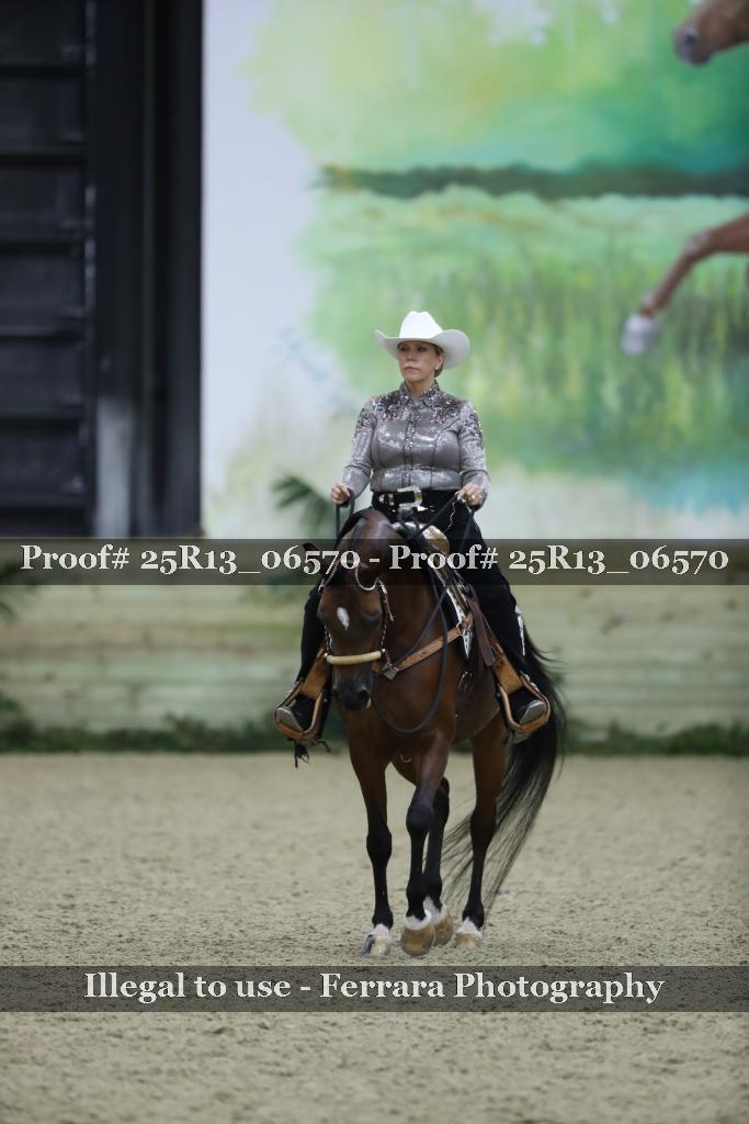 Proof Number 25R13_06570