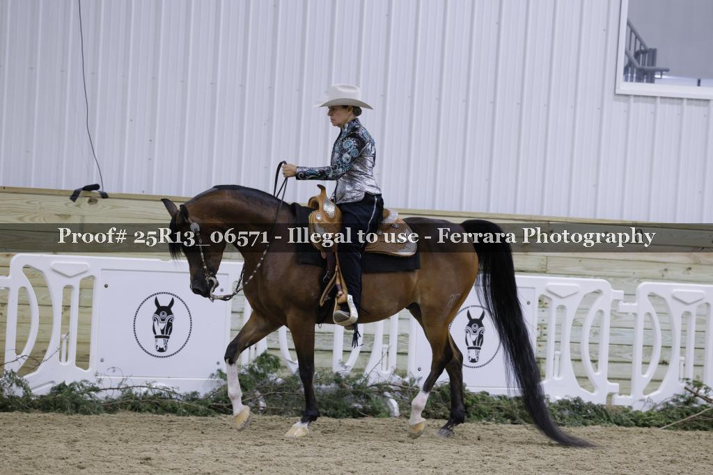 Proof Number 25R13_06571