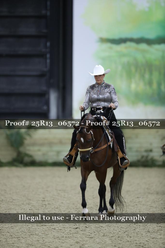 Proof Number 25R13_06572
