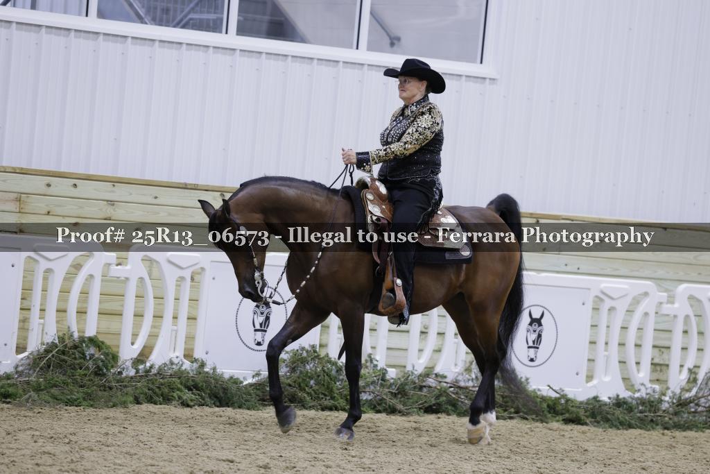 Proof Number 25R13_06573