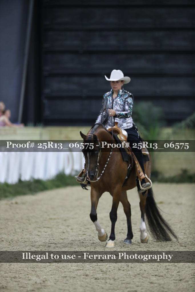 Proof Number 25R13_06575