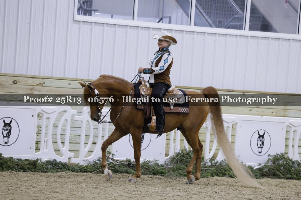 Proof Number 25R13_06576