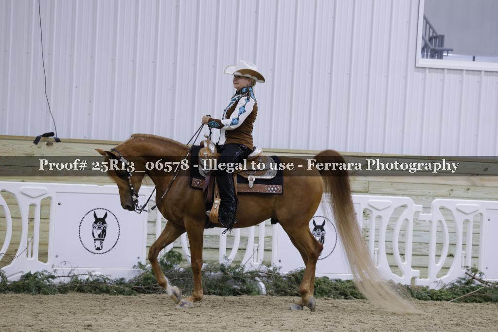 Proof Number 25R13_06578
