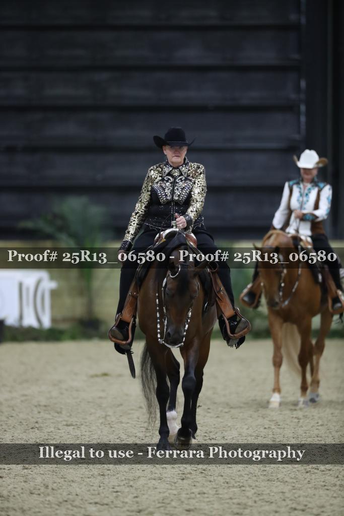 Proof Number 25R13_06580