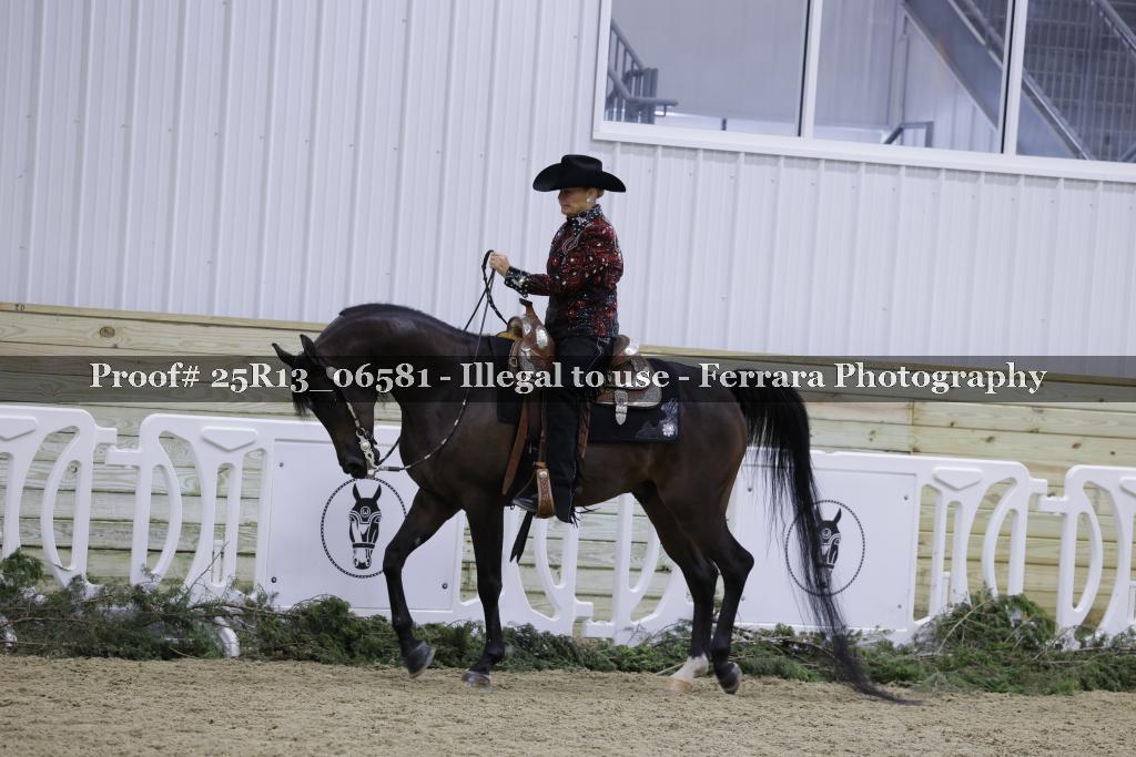 Proof Number 25R13_06581