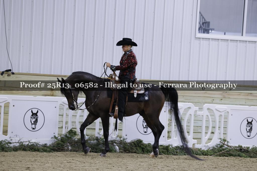 Proof Number 25R13_06582