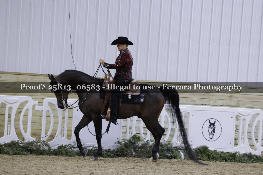 Proof Number 25R13_06583