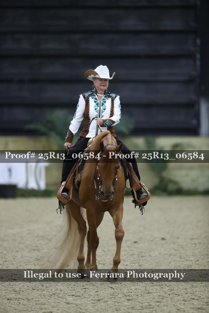 Proof Number 25R13_06584