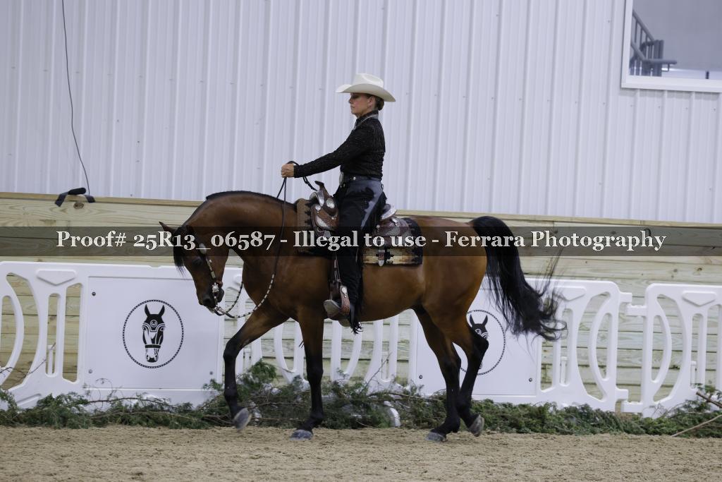 Proof Number 25R13_06587