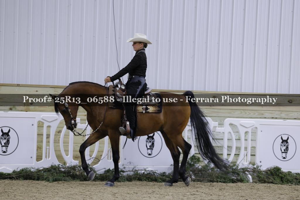 Proof Number 25R13_06588