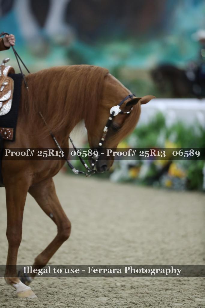 Proof Number 25R13_06589