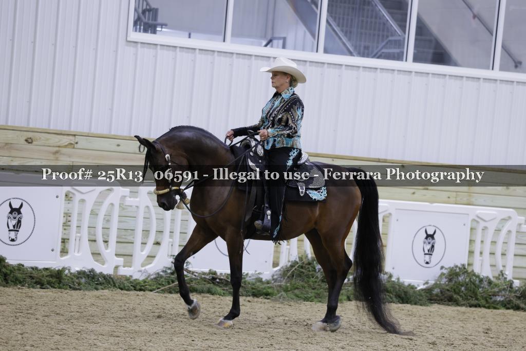 Proof Number 25R13_06591