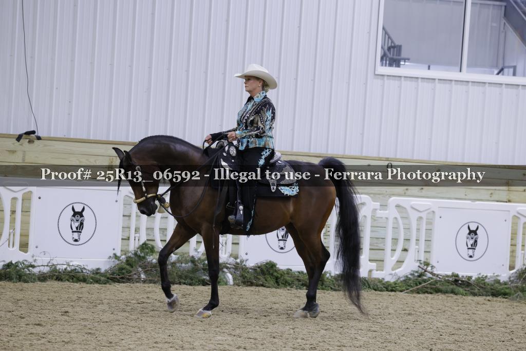 Proof Number 25R13_06592