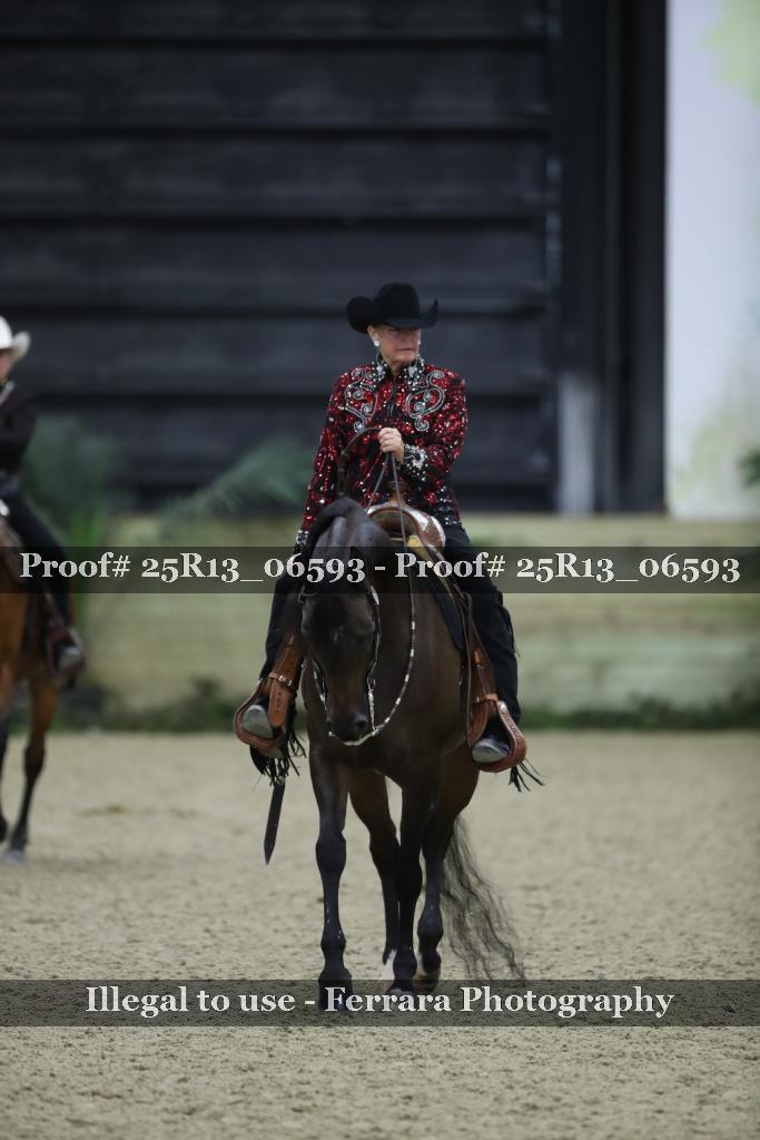 Proof Number 25R13_06593