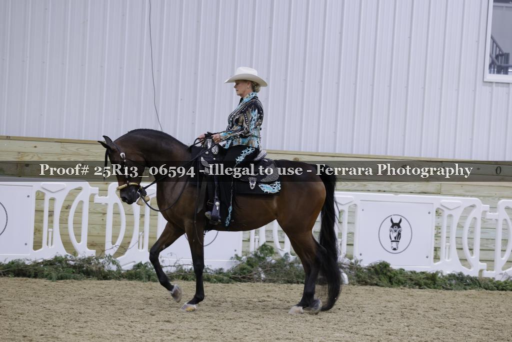 Proof Number 25R13_06594