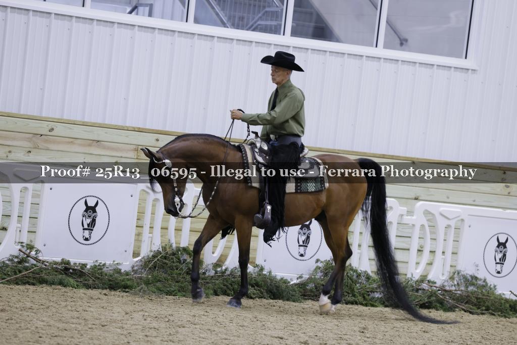 Proof Number 25R13_06595
