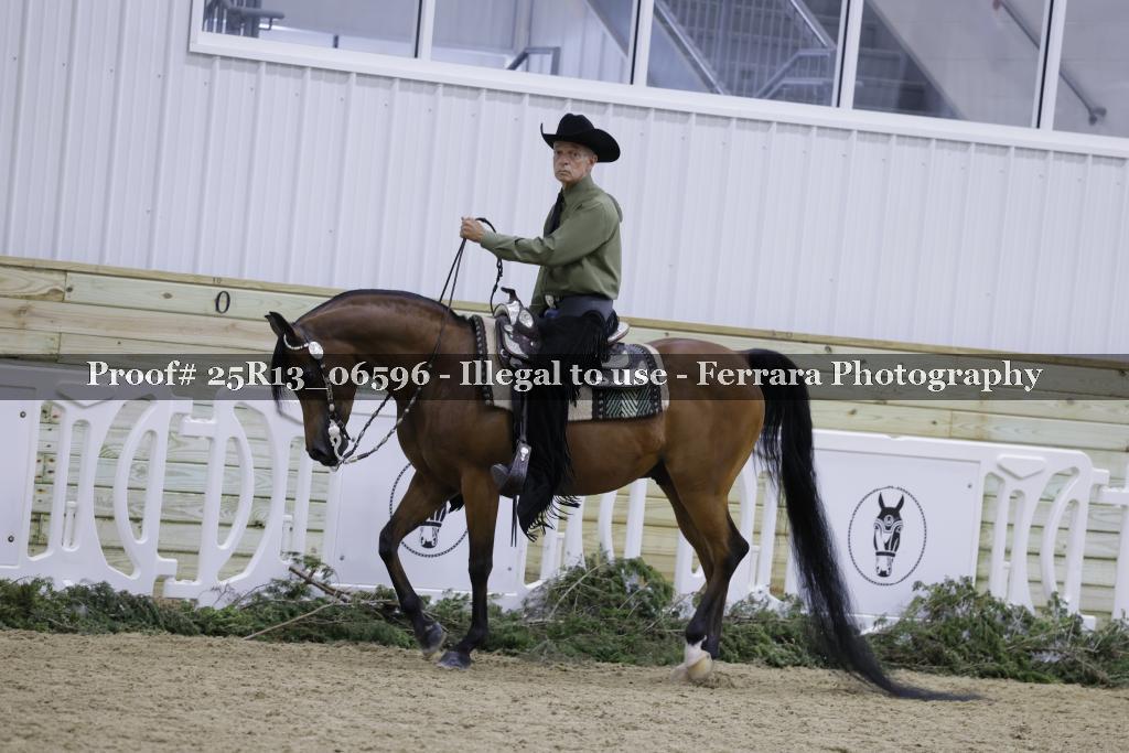 Proof Number 25R13_06596