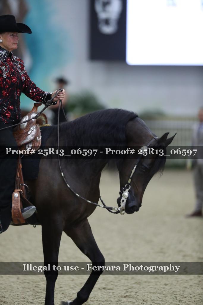 Proof Number 25R13_06597