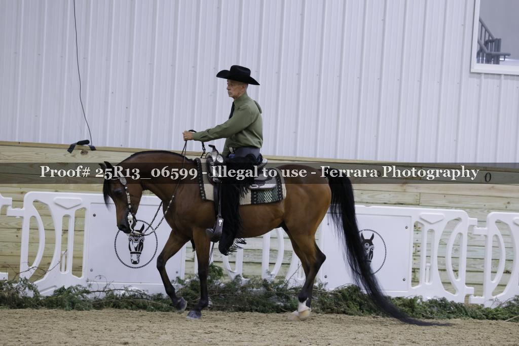 Proof Number 25R13_06599