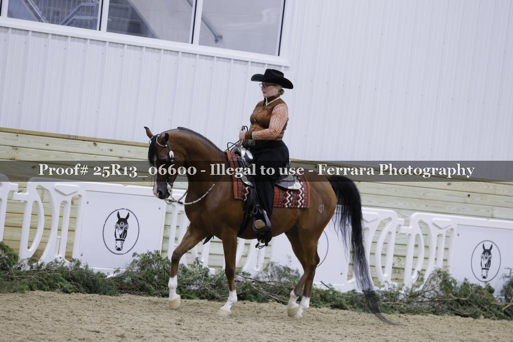 Proof Number 25R13_06600