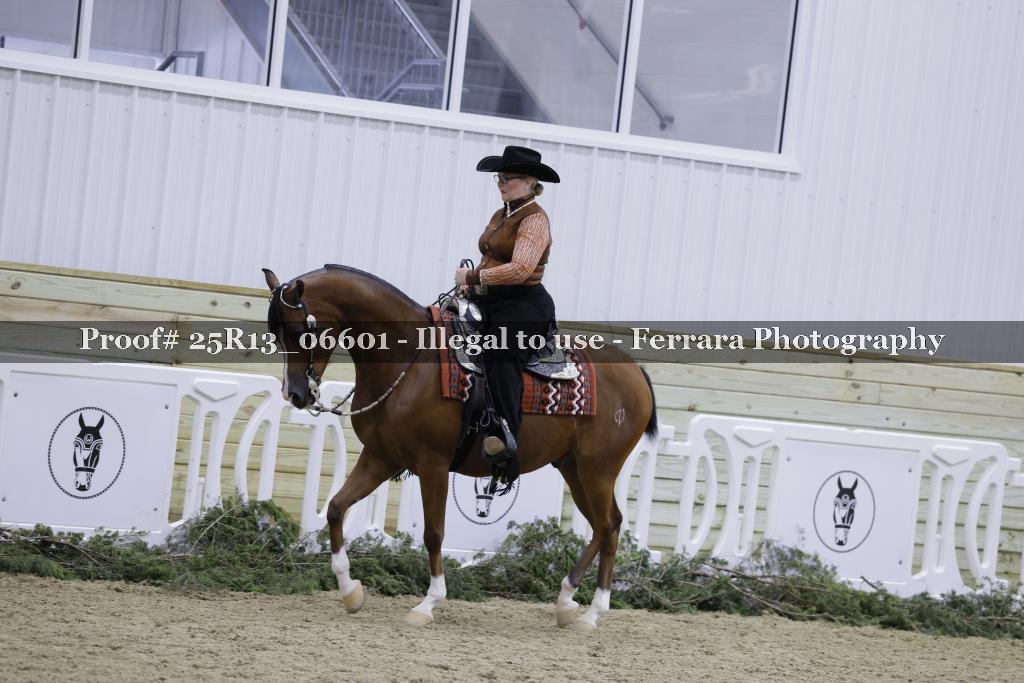 Proof Number 25R13_06601