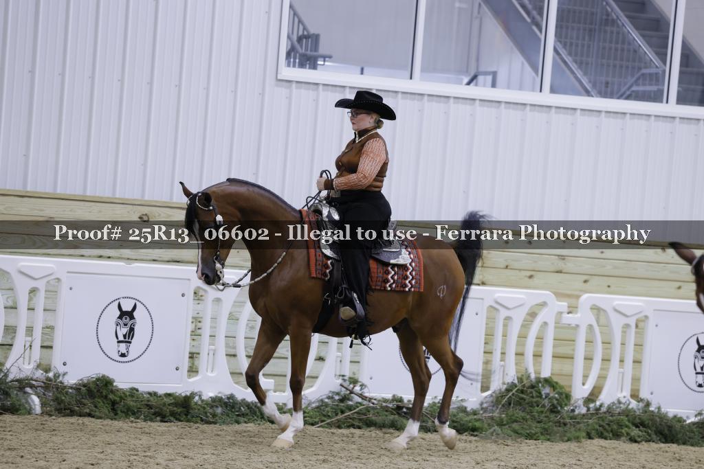 Proof Number 25R13_06602