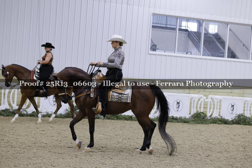 Proof Number 25R13_06603